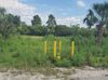 922 Kings Highway photo